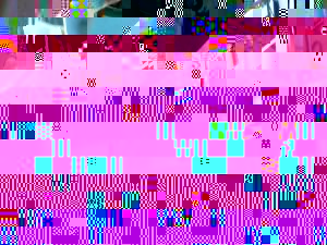 11651034_10204751703854872_863524757_n.jpg